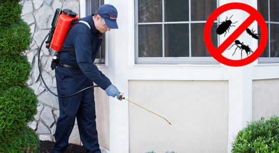 Hendek Gümüşkurt İlaçlama böcek ilaçlama ve haşere kontrolü — ilaclama-tr.com